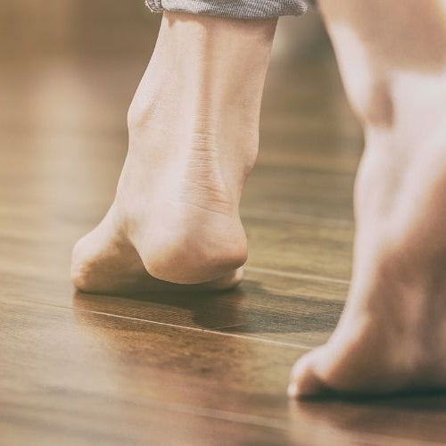 Choosing Between Pallmann Pall X 96 Original and Pall X 96 Power