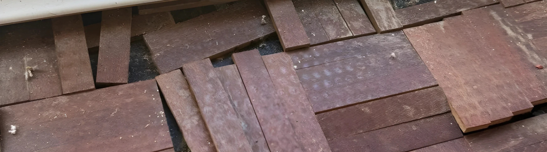 Why Lecol 5500 Is the Go-To Adhesive for Fast, Secure Wood Floor Sanding Repairs